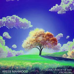 收聽Areeb Mahmood的I Really Want to Stay at Your House - Orchestral歌詞歌曲