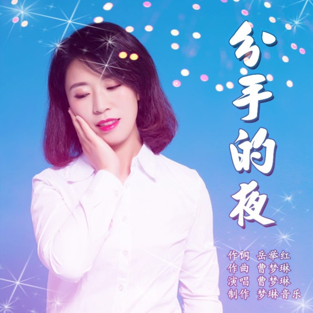 分手的夜 (伴奏)