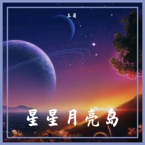 Album 星星月亮岛 from 王萌