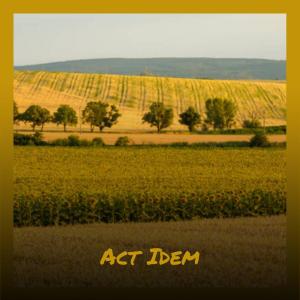 Listen to Act Idem song with lyrics from Erence Halee