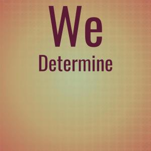Various的专辑We Determine