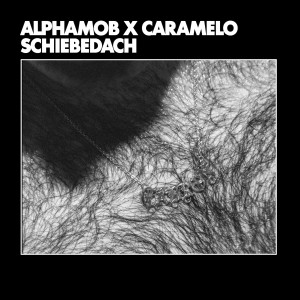 ดาวน์โหลดและฟังเพลง Schiebedach (Explicit) พร้อมเนื้อเพลงจาก AlphaMob