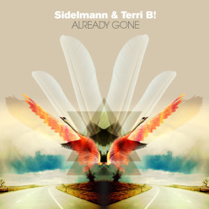 ดาวน์โหลดและฟังเพลง Already Gone (Radio Edit) พร้อมเนื้อเพลงจาก Sidelmann