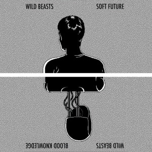 ดาวน์โหลดและฟังเพลง Blood Knowledge พร้อมเนื้อเพลงจาก Wild Beasts
