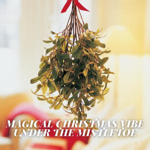 Magical Christmas Vibe under the Mistletoe
