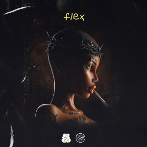 ดาวน์โหลดและฟังเพลง Flex พร้อมเนื้อเพลงจาก Sho?