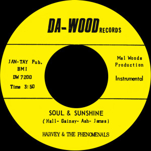 Harvey & The Phenomenals的專輯What Can I Do (To Prove My Love Is Real) b/w Soul & Sunshine