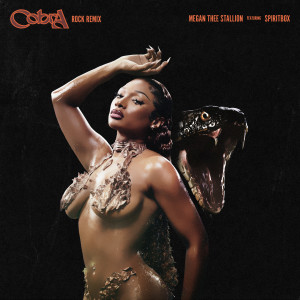 ดาวน์โหลดและฟังเพลง Cobra [feat. Spiritbox] (Rock Remix|Explicit) พร้อมเนื้อเพลงจาก Megan Thee Stallion
