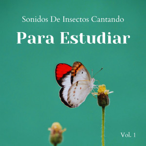 Sonidos De Insectos Cantando Para Estudiar Vol. 1