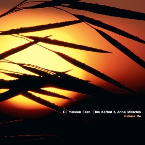 收聽Dj Yakeen的Release Me歌詞歌曲
