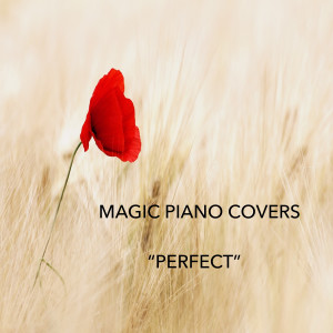 Magic Piano Covers的專輯Perfect (Piano Version)