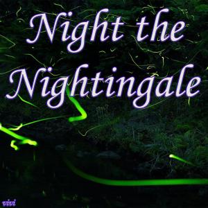 Listen to Night the Nightingale song with lyrics from Vivi