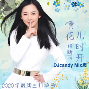 Dengarkan lagu 情花几时开（DJcandy Mix版） nyanyian 魏新雨 dengan lirik