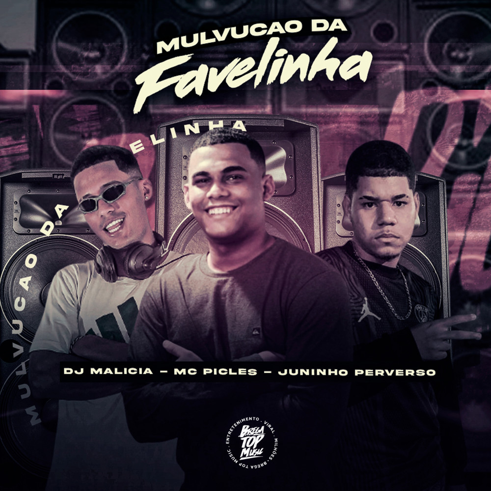 Mulvucao da Favelinha (Explicit)
