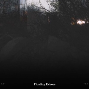Album !!!!" Floating Echoes "!!!! oleh Relaxing Music Therapy