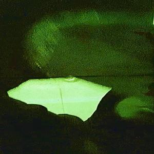 Album nYnM (Explicit) from 