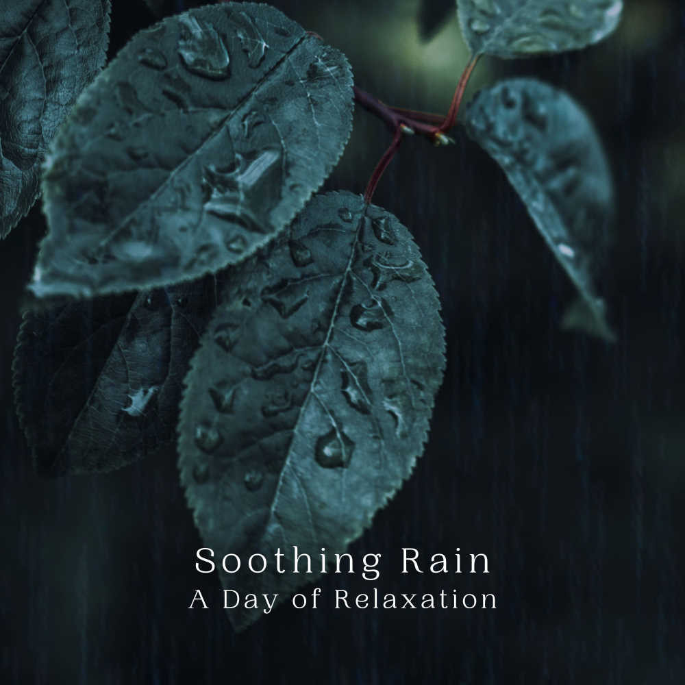 Rainy Day Serenity