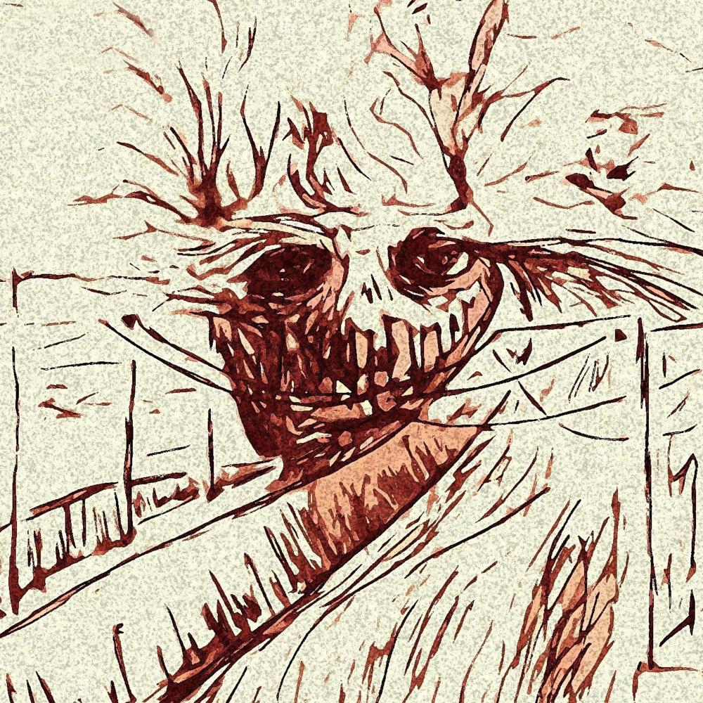 Your Eyes