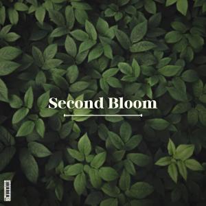 收聽Lowkey Vanni的Second Bloom歌詞歌曲