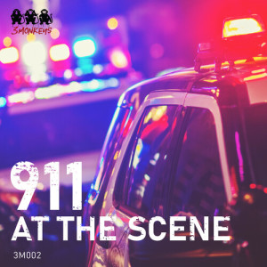 Klas Wahl的专辑911: At the Scene