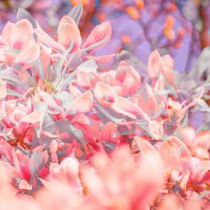 Dengarkan 穿越黑暗 lagu dari 红 dengan lirik