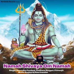 Sadhana Sargam的专辑Namah Shivaya Om Namah