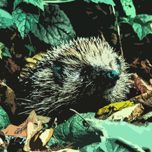 Listen to Jungle Madness song with lyrics from Martin Denny