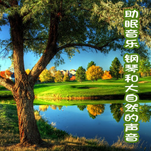 收听小鹏PIANO的舒缓的海浪声歌词歌曲
