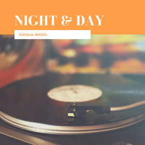 收听Comedian Harmonist的Night & Day歌词歌曲