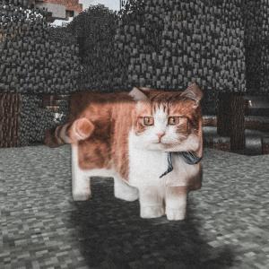 Listen to Minecraft Lofi Chill song with lyrics from Drago Lofi