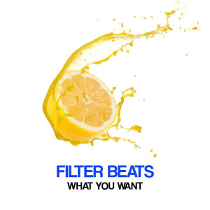 อัลบัม What You Want ศิลปิน Filter Beats