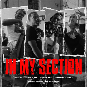 Album In My Section (feat. Saviii 3rd & $tupid Young) oleh Celly Ru