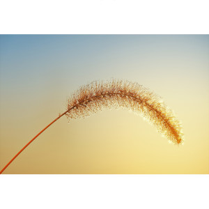Listen to Can You Hear song with lyrics from 데일리 스케치