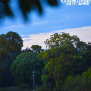 Alikho Igama的專輯Could've Said More (Explicit)