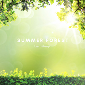 Nature Sound Collection的專輯Summer Forest For Sleep