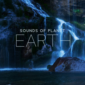 อัลบัม Sounds of Planet Earth (Calm Music with Nature Noises for Meditation, Peaceful Sounds for Relaxation on Fresh Air) ศิลปิน Nature Meditation Academy