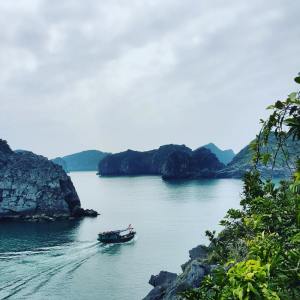 收听Relaxing Music Therapy的Pure Imagination歌词歌曲