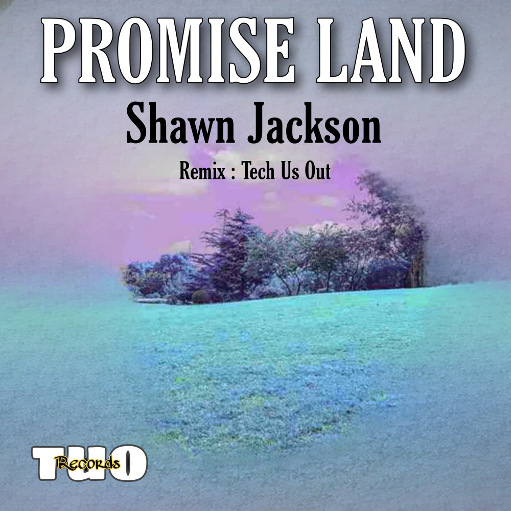 Promise Land (Tech Us Out Remix)