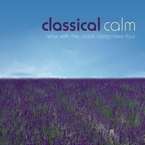 Symphony in D Minor, Allegretto (其他)