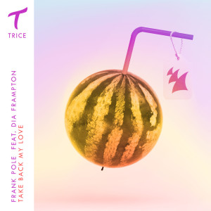 Listen to Take Back My Love (Extended Mix) song with lyrics from Frank Pole