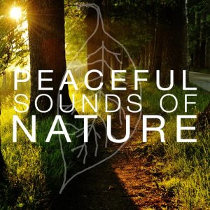 Sounds of Nature!的專輯Peaceful Sounds of Nature