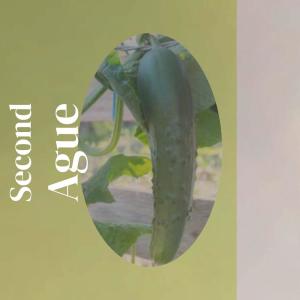 Album Second Ague oleh Various