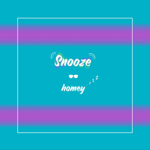 Listen to Snooze song with lyrics from Homey