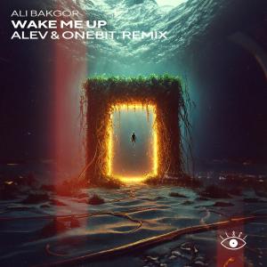 Ali Bakgor的專輯Wake Me Up (ALEV & onebit. Remix)