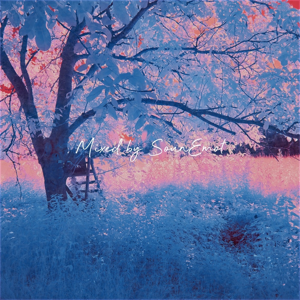 Sounemot State #054 (Mixed by SounEmot)