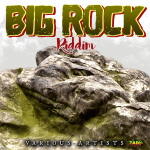 Various Artists的專輯Big Rock Riddim