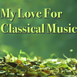 Listen to Symphony No 2 in E major: II song with lyrics from VIVA Symphony Orchestra