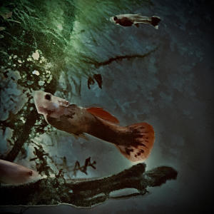 收聽Cutta的static motion歌詞歌曲