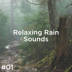 ดาวน์โหลดและฟังเพลง Calming Ambience พร้อมเนื้อเพลงจาก Rain Sounds
