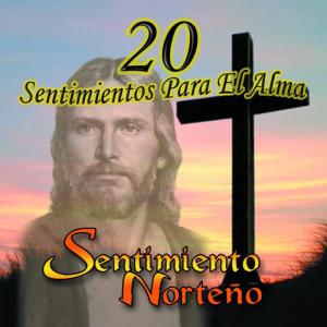 收聽Sentimiento Norteño的Doy Gloria歌詞歌曲